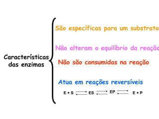 Características
das enzimas
Não alteram o equilíbrio da reação
São específicas para um substrato
Atua em reações reversíveis
Não são consumidas na reação
E + S ES EP E + P
 