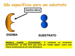 SUBSTRATO
Centro ativo
ENZIMA
São específicas para um substrato
MODELO “CHAVE - FECHADURA”: O substrato se encaixaria
perfeitamente ao sítio ativo que seria um “molde rígido”, como uma
chave encaixando-se em uma fechadura.
 