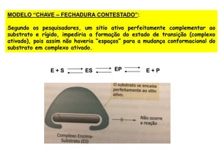 MODELO “CHAVE – FECHADURA CONTESTADO”:
Segundo os pesquisadores, um sitio ativo perfeitamente complementar ao
substrato e rígido, impediria a formação do estado de transição (complexo
ativado), pois assim não haveria “espaços” para a mudança conformacional do
substrato em complexo ativado.
E + S ES EP E + P
 
