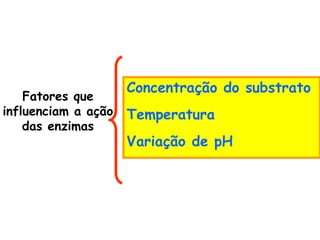 Fatores que
influenciam a ação
das enzimas
Concentração do substrato
Temperatura
Variação de pH
 