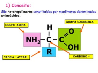 1) Conceito:
São heteropolímeros constituídos por monômeros denominados
aminoácidos.
GRUPO AMINA
GRUPO CARBOXILA
CADEIA LATERAL CARBONO 
NH2 C C
R
H
OH
O
 