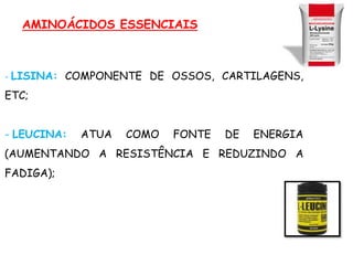 - LISINA: COMPONENTE DE OSSOS, CARTILAGENS,
ETC;
- LEUCINA: ATUA COMO FONTE DE ENERGIA
(AUMENTANDO A RESISTÊNCIA E REDUZINDO A
FADIGA);
AMINOÁCIDOS ESSENCIAIS
 
