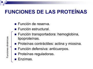 FUNCIONES DE LAS PROTEÍNAS
◼ Función de reserva.
◼ Función estructural.
◼ Función transportadora: hemoglobina,
lipoproteínas.
◼ Proteínas contráctiles: actina y miosina.
◼ Función defensiva: anticuerpos.
◼ Proteínas reguladoras.
◼ Enzimas.
Funciones
dinámicas
 