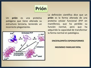 Prión
Un prión es una proteína
patógena que tiene alterada su
estructura terciaria, teniendo un
incorrecto plegamiento.

La definición científica dice que un
prión es la forma alterada de una
proteína celular funcional (PrP en
mamíferos), que ha perdido su
función normal, pero que ha
adquirido la capacidad de transformar
la forma normal en patológica.
ENCEFALOPATÍA ESPONGIFORMES
INSOMNIO FAMILIAR FATAL

 