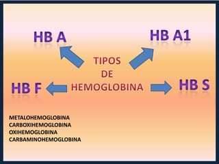 METALOHEMOGLOBINA
CARBOXIHEMOGLOBINA
OXIHEMOGLOBINA
CARBAMINOHEMOGLOBINA

 