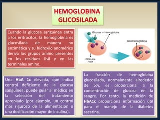 Cuando la glucosa sanguínea entra
a los eritrocitos, la hemoglobina es
glucosilada
de
manera
no
enzimática y su hidroxilo anomérico
deriva los grupos amino presentes
en los residuos lisil y en las
terminales amino.
Una HbA 1c elevada, que indica
control deficiente de la glucosa
sanguínea, puede guiar al médico en
la
selección
del
tratamiento
apropiado (por ejemplo, un control
más riguroso de la alimentación o
una dosificación mayor de insulina).

La
fracción
de
hemoglobina
glucosilada, normalmente alrededor
de 5%, es proporcional a la
concentración de glucosa en la
sangre. Por tanto, la medición de
HbA1c proporciona información útil
para el manejo de la diabetes
sacarina.

 