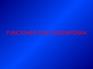 FUNCIONES QUE DESEMPEÑAN 
 