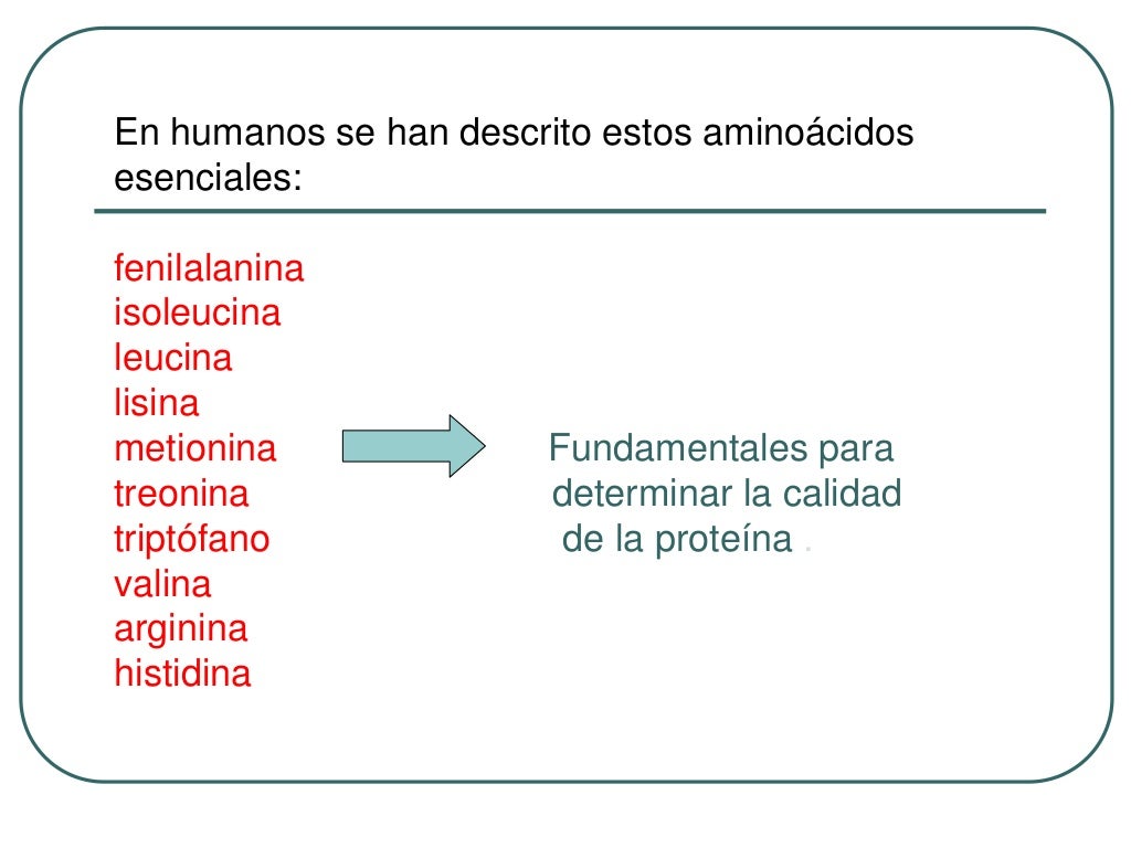 Analisis de Proteinas en Alimentos Analisis de Proteinas en Alimentos
