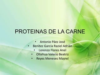 PROTEINAS DE LA CARNE
• Antonio Páez José
• Benítez García Raziel Adrián
• Lorenzo Flores Anel
• Oltehua Valerio Beatriz
• Reyes Meneses Mayrel
 