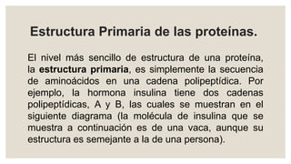 Estructura Primaria de las proteínas.
El nivel más sencillo de estructura de una proteína,
la estructura primaria, es simplemente la secuencia
de aminoácidos en una cadena polipeptídica. Por
ejemplo, la hormona insulina tiene dos cadenas
polipeptídicas, A y B, las cuales se muestran en el
siguiente diagrama (la molécula de insulina que se
muestra a continuación es de una vaca, aunque su
estructura es semejante a la de una persona).
 
