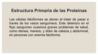 Estructura Primaria de las Proteínas
Las células falciformes se atoran al tratar de pasar a
través de los vasos sanguíneos. Este deterioro en el
flujo sanguíneo ocasiona graves problemas de salud,
como disnea, mareos, y dolor de cabeza y abdominal,
en personas con anemia falciforme.
 
