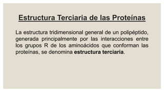 Estructura Terciaria de las Proteínas
La estructura tridimensional general de un polipéptido,
generada principalmente por las interacciones entre
los grupos R de los aminoácidos que conforman las
proteínas, se denomina estructura terciaria.
 