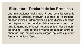 Estructura Terciaria de las Proteínas
Las interacciones del grupo R que contribuyen a la
estructura terciaria incluyen puentes de hidrógeno,
enlaces iónicos, interacciones dipolo-dipolo y fuerzas
de dispersión de London: básicamente, conforman
toda la gama de enlaces no covalentes. Por ejemplo,
los grupos R con cargas similares se repelen entre sí,
mientras que aquellos con cargas opuestas pueden
formar un enlace iónico.
 