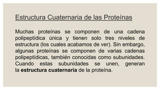 Estructura Cuaternaria de las Proteínas
Muchas proteínas se componen de una cadena
polipeptídica única y tienen solo tres niveles de
estructura (los cuales acabamos de ver). Sin embargo,
algunas proteínas se componen de varias cadenas
polipeptídicas, también conocidas como subunidades.
Cuando estas subunidades se unen, generan
la estructura cuaternaria de la proteína.
 