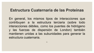 Estructura Cuaternaria de las Proteínas
En general, los mismos tipos de interacciones que
contribuyen a la estructura terciaria (sobre todo
interacciones débiles, como los puentes de hidrógeno
y las fuerzas de dispersión de London) también
mantienen unidas a las subunidades para generar la
estructura cuaternaria.
◦
 