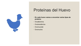 Proteínas del Huevo
◦ En cada huevo vamos a encontrar varios tipos de
proteína:
◦ Ovoalbúmina
◦ Ovotransferrina
◦ Ovomucoide
◦ Ovomucina
 
