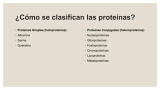 ¿Cómo se clasifican las proteínas?
◦ Proteínas Simples (holoproteínas):
◦ Albumina
◦ Serina
◦ Queratina
◦ Proteínas Conjugadas (heteroproteínas)
◦ Nucleoproteínas
◦ Glicoproteínas
◦ Fosfoproteínas
◦ Cromoproteínas
◦ Lipoproteínas
◦ Metaloproteínas
 