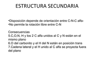 ESTRUCTURA SECUNDARIA Disposición depende de orientación entre C-N-C alfa- No permite la rotación libre entre C-N Consecuencias C,O,N, H y los 2 C alfa unidos al C y N están en el mismo plano O del carbonito y el H del N están en posición trans Cadena lateral y el H unido al C alfa se proyecta fuera del plano  