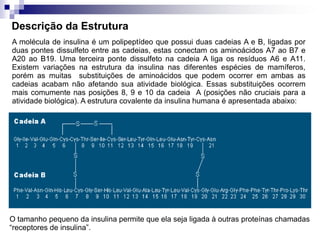 Descrição da Estrutura
A molécula de insulina é um polipeptídeo que possui duas cadeias A e B, ligadas por
duas pontes dissulfeto entre as cadeias, estas conectam os aminoácidos A7 ao B7 e
A20 ao B19. Uma terceira ponte dissulfeto na cadeia A liga os resíduos A6 e A11.
Existem variações na estrutura da insulina nas diferentes espécies de mamíferos,
porém as muitas substituições de aminoácidos que podem ocorrer em ambas as
cadeias acabam não afetando sua atividade biológica. Essas substituições ocorrem
mais comumente nas posições 8, 9 e 10 da cadeia A (posições não cruciais para a
atividade biológica). A estrutura covalente da insulina humana é apresentada abaixo:




O tamanho pequeno da insulina permite que ela seja ligada à outras proteínas chamadas
“receptores de insulina”.
 