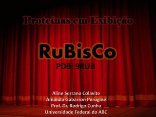 RuBisCo
 PDB: 9RUB
 