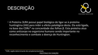 DESCRIÇÃO

   A Proteína 3LRH possui papel biológico de ligar-se à proteína
    huntingtina (Htt) para inibir o efeito patológico desta. Ela está ligada,
    na base das CDRs* na concavidade das folhas β. Esta proteína atua
    como anticorpo no organismo humano sendo importante no
    reconhecimento e combate a doença de Huntington.




*CDR, região determinante de complementaridade;
                                          PROTEÍNAS EM EXIBIÇÃO
 
