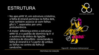 ESTRUTURA
 No apo-αHtt VL em estrutura cristalina,
  a folha β-strand participa na folha deb,
  mas também associa-se com folhas
  gfcc'c ", separados por uma
  protuberância.
 A maior diferença entre a estrutura
  αHtt-VL e o padrão de domínio Ig V- é
  a ausência da dobra da ligação
  canônica de dissulfeto conectando a
  folha β-strand b e f a partir de ambas
  as folhas no centro da folha β-
  sanduíche.                                        Figura 02 – Estrutura tridimensional
                            PROTEÍNAS EM EXIBIÇÃO
 