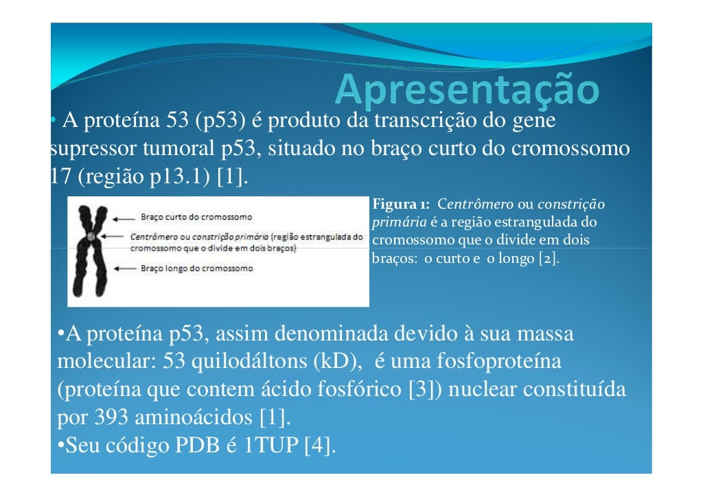 proteina-p53