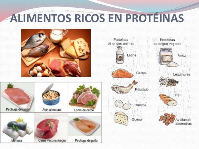 proteinas