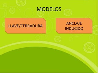 MODELOS

                       ANCLAJE
LLAVE/CERRADURA
                      INDUCIDO
 