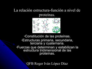 La relación estructura-función a nivel de proteínas. ,[object Object],[object Object],[object Object],QFB Roger Iván López Díaz 