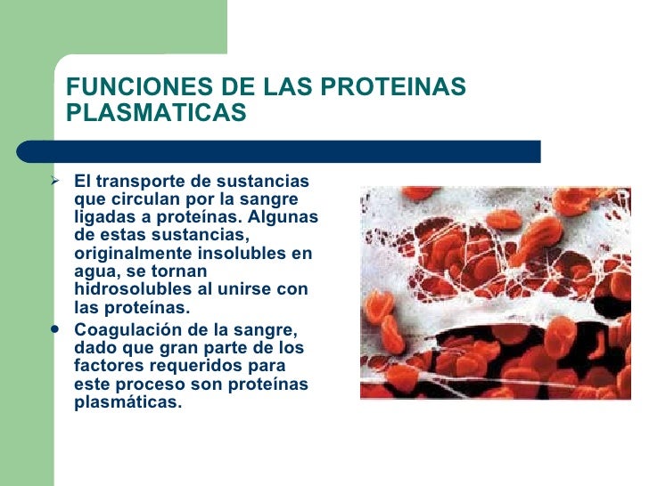 Proteinas ii