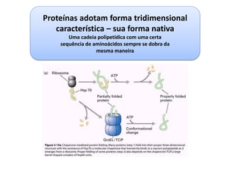 Proteínas adotam forma tridimensional
característica – sua forma nativa
Uma cadeia polipetídica com uma certa
sequência de aminoácidos sempre se dobra da
mesma maneira
 