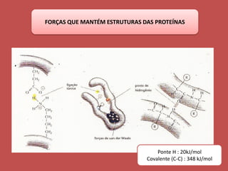 Ponte H : 20kJ/mol
Covalente (C-C) : 348 kJ/mol
FORÇAS QUE MANTÉM ESTRUTURAS DAS PROTEÍNAS
 