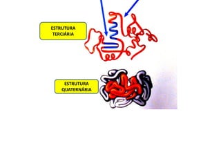 ESTRUTURA
QUATERNÁRIA
 