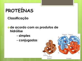 PROTEÍNAS
Classificação
de acordo com os produtos de
hidrólise
- simples
- conjugadas
 