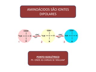 AMINOÁCIDOS SÃO IONTES
DIPOLARES
PONTO ISOELÉTRICO
Ph ONDE AS CARGAS SE ‘ANULAM’
 