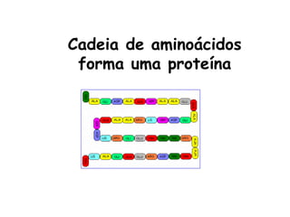 Cadeia de aminoácidos
forma uma proteína
 