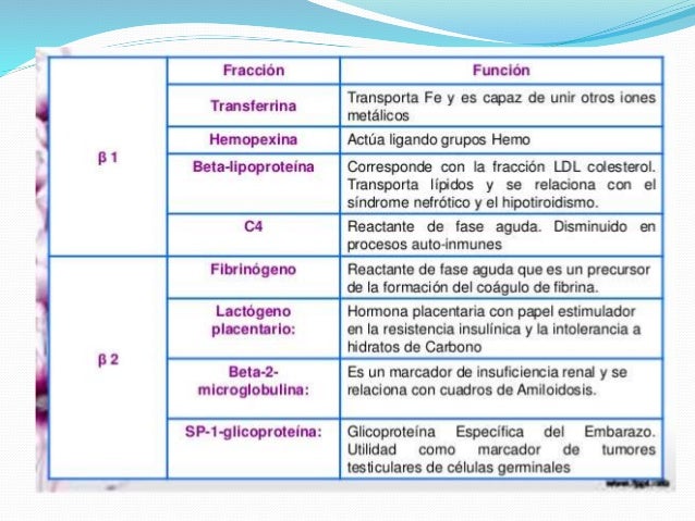 Proteinas plasmaticas y hemofilia
