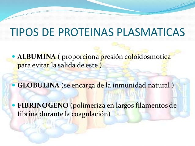 Proteinas plasmaticas y hemofilia