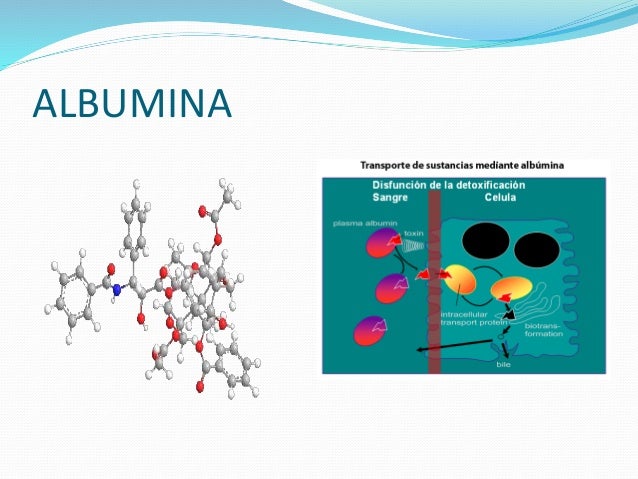 Proteinas plasmaticas y hemofilia