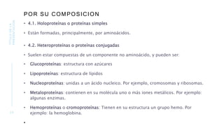POR SU COMPOSICION
• 4.1. Holoproteínas o proteínas simples
• Están formadas, principalmente, por aminoácidos.
• 4.2. Heteroproteínas o proteínas conjugadas
• Suelen estar compuestas de un componente no aminoácido, y pueden ser:
• Glucoproteínas: estructura con azúcares
• Lipoproteínas: estructura de lípidos
• Nucleoproteínas: unidas a un ácido nucleico. Por ejemplo, cromosomas y ribosomas.
• Metaloproteínas: contienen en su molécula uno o más iones metálicos. Por ejemplo:
algunas enzimas.
• Hemoproteínas o cromoproteínas: Tienen en su estructura un grupo hemo. Por
ejemplo: la hemoglobina.
•
2 0
TÍTULO
DE
LA
PRESENTACIÓN
 