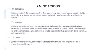 AMINOACIDOS
• 10. Isoleucina
• Este aminoácido forma parte del código genético y es necesario para nuestro tejido
muscular y la formación de hemoglobina. Además, ayuda a regular el azúcar en
sangre.
• 11. Leucina
• Como el aminoácido anterior, interviene en la formación y reparación del tejido
muscular y colabora en la curación de la piel y huesos. Además. actúa como energía
en entrenamientos de alto esfuerzo y ayuda a aumentar la producción de la hormona
del crecimiento.
• 12. Lisina
• Junto con la metionina, sintetiza el aminoácido carnitina y es importante en el
tratamiento del herpes.
1 0
TÍTULO
DE
LA
PRESENTACIÓN
 