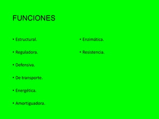 FUNCIONES
• Estructural.
• Reguladora.
• Defensiva.
• De transporte.
• Energética.
• Amortiguadora.
• Enzimática.
• Resistencia.
 
