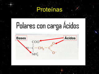 Proteínas
ÁcidosBases
 