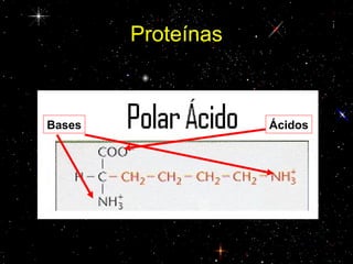 Proteínas
ÁcidosBases
 