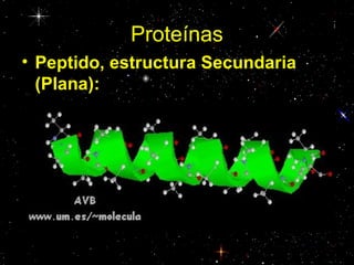 Proteínas
• Peptido, estructura Secundaria
(Plana):
 
