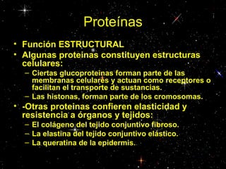 Proteínas
• Función ESTRUCTURAL
• Algunas proteinas constituyen estructuras
celulares:
– Ciertas glucoproteinas forman parte de las
membranas celulares y actuan como receptores o
facilitan el transporte de sustancias.
– Las histonas, forman parte de los cromosomas.
• -Otras proteinas confieren elasticidad y
resistencia a órganos y tejidos:
– El colágeno del tejido conjuntivo fibroso.
– La elastina del tejido conjuntivo elástico.
– La queratina de la epidermis.
 