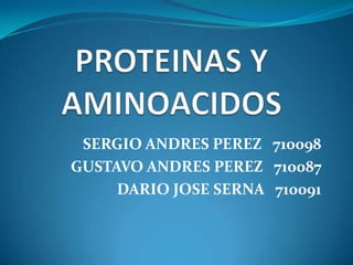 PROTEINAS Y AMINOACIDOS SERGIO ANDRES PEREZ   710098 GUSTAVO ANDRES PEREZ   710087 DARIO JOSE SERNA   710091 