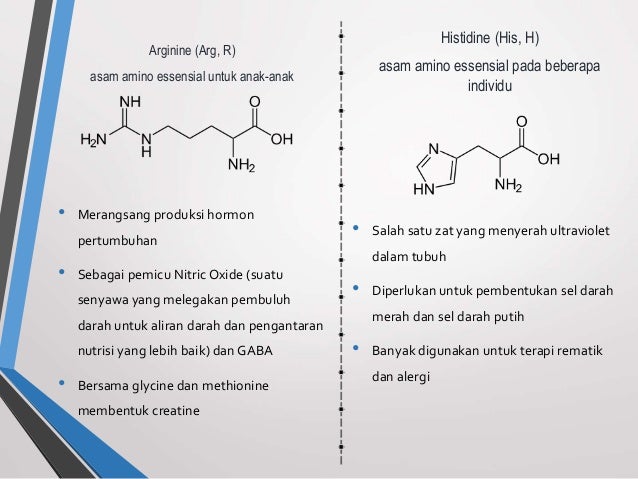Asam Amino Protein Biomolekul Asam Amino Protein Biomolekul