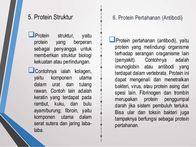 Jenis Protein Struktural Yang Berperan Dalam Kontraksi Sel 